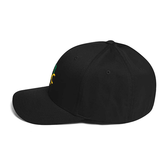 SwC Poker Logo Flexfit Hat