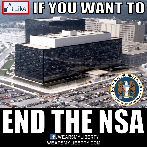 End_The_NSA_Thomas_Massie_Justin_Amash_Snowden_Ron_Paul